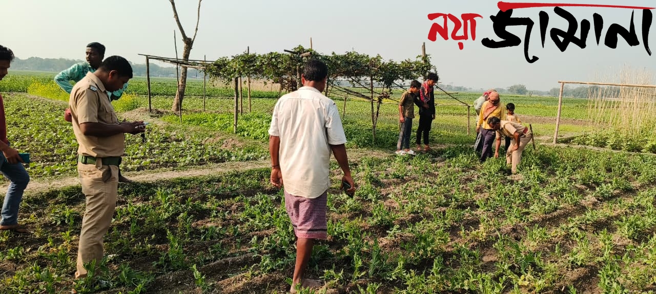 আতঙ্কে কাঁপছে ধূপগুড়ি!ঝোপের আড়ালে বাঘ দেখার দাবি গৃহবধূদের, এলাকায় বনকর্মীদের টহল