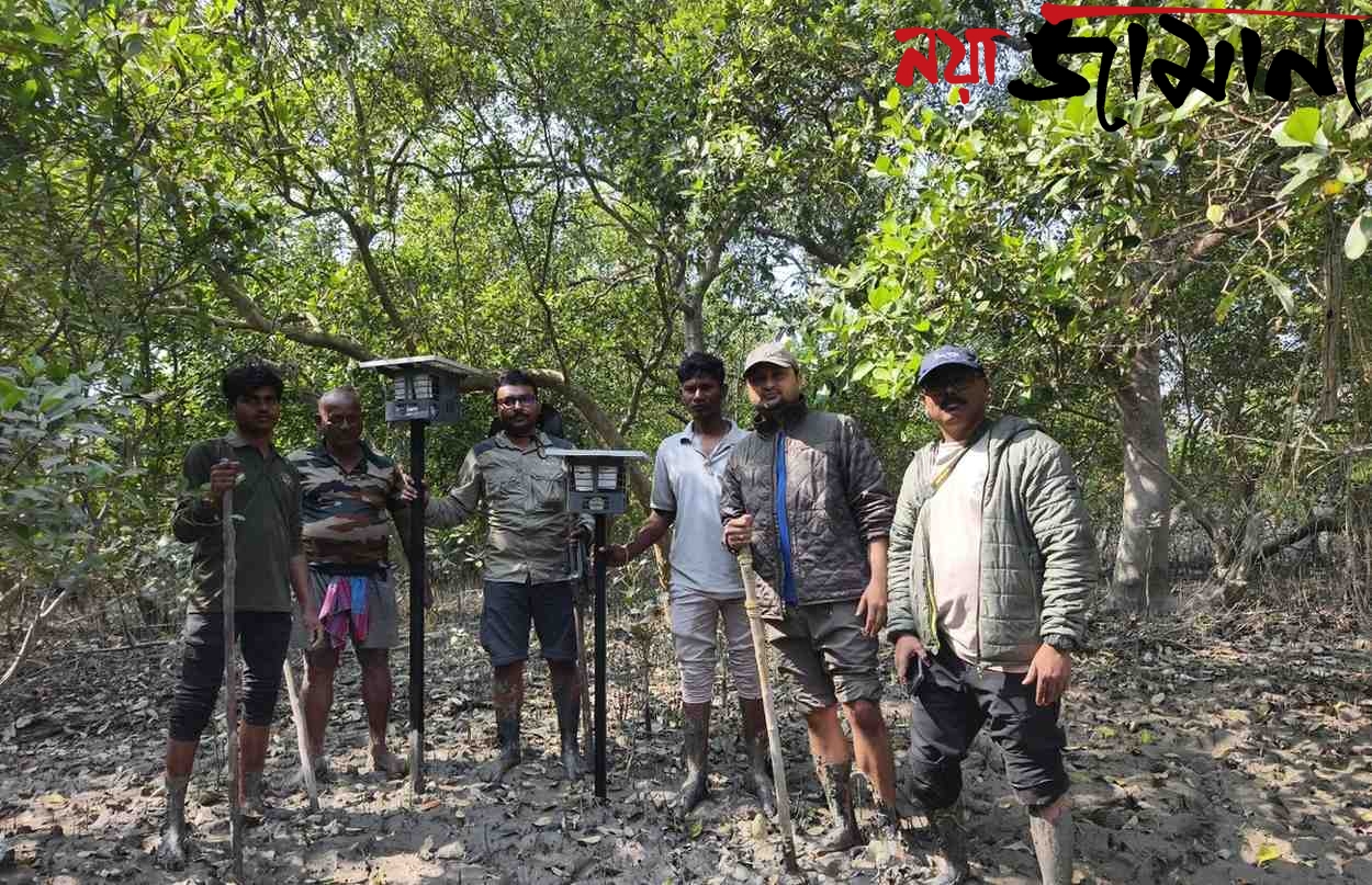 বাঘ ঢোকার আগেই সতর্কবার্তা! সুন্দরবনে প্রযুক্তির নতুন প্রহরী আনইডার্স