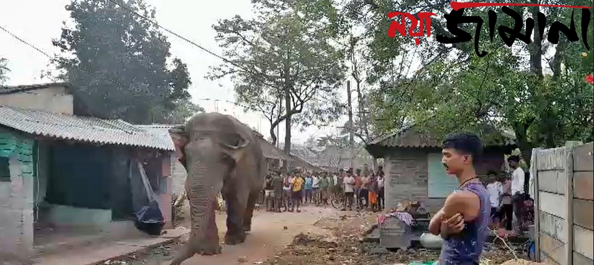 হেলেদুলে ভোটকেন্দ্রে ‘রামলাল’, কড়া প্রহরাতেও বন দপ্তরকে চ্যালেঞ্জ!