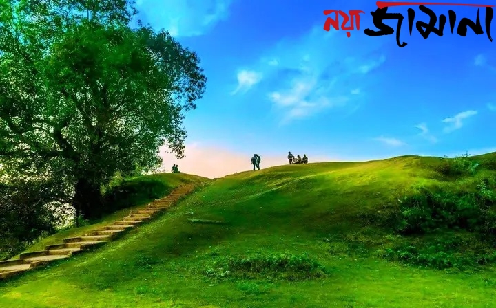 কোচবিহারের গৌরবময় ইতিহাসের নীরব সাক্ষী, ঐতিহ্যের স্পন্দন গোসানিমারি রাজপাট