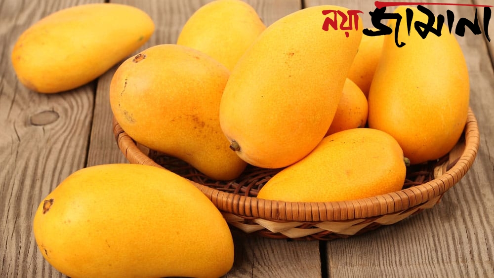 আম খেলে ওজন বাড়বে না, বরং কমবে