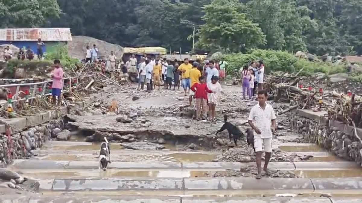 বালাসনের প্রবল স্রোতে ভেসে গেল দুধিয়ার সেতু, বিচ্ছিন্ন শিলিগুড়ি-মিরিক যোগাযোগ
