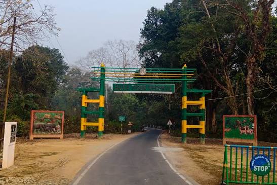 কর্মীসংকট কাটিয়েই ২৯ জুলাই বক্সায় বাঘ আনার প্রস্তুতি, নজর রাখছে এনটিসিএ